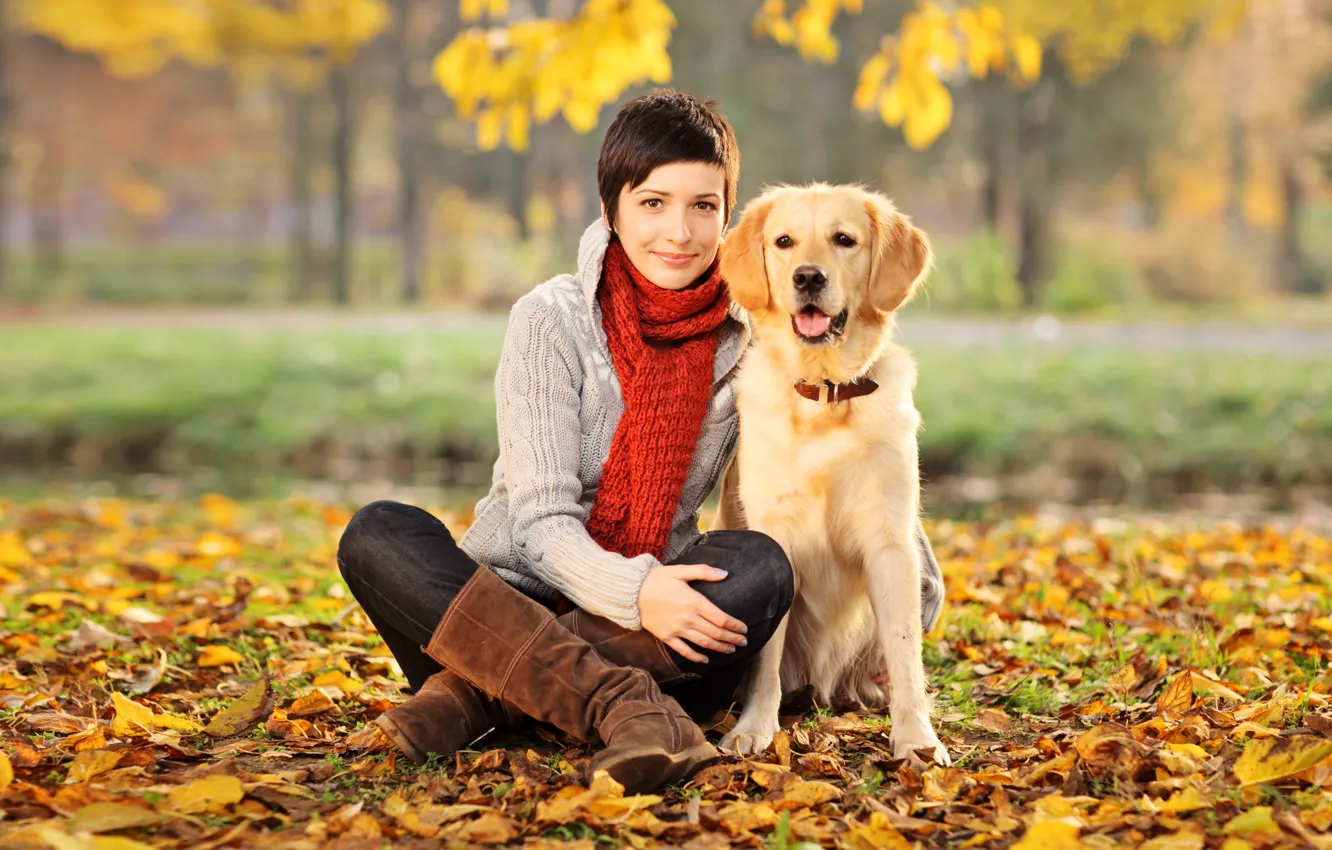 Photo wallpaper autumn, leaves, girl, trees, Park, dog, boots, yellow