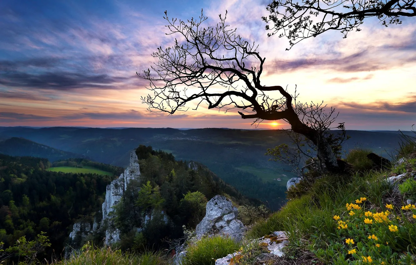 Photo wallpaper landscape, nature, beauty, the evening