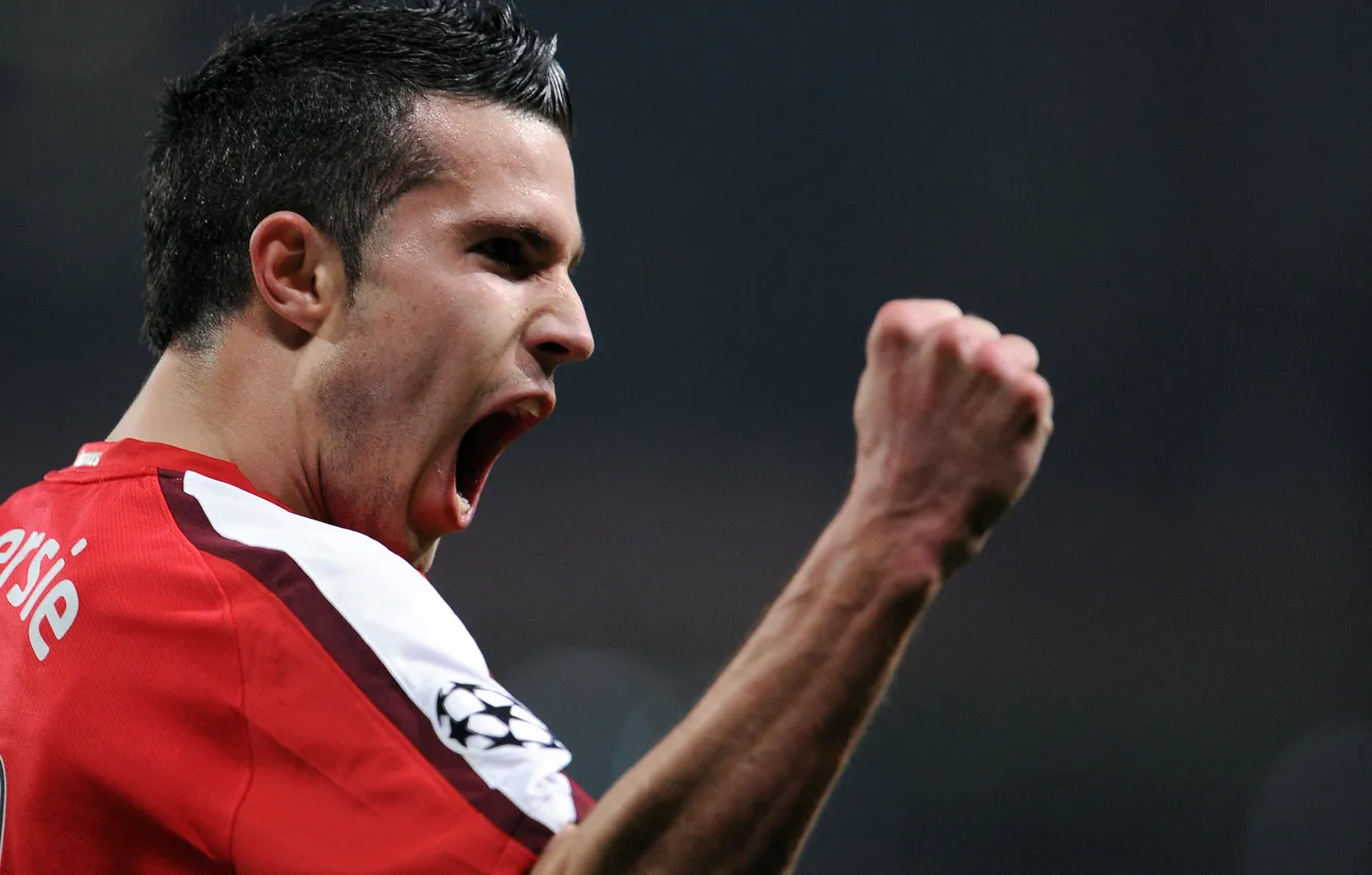 Photo wallpaper emotions, football, Robin Van Persie