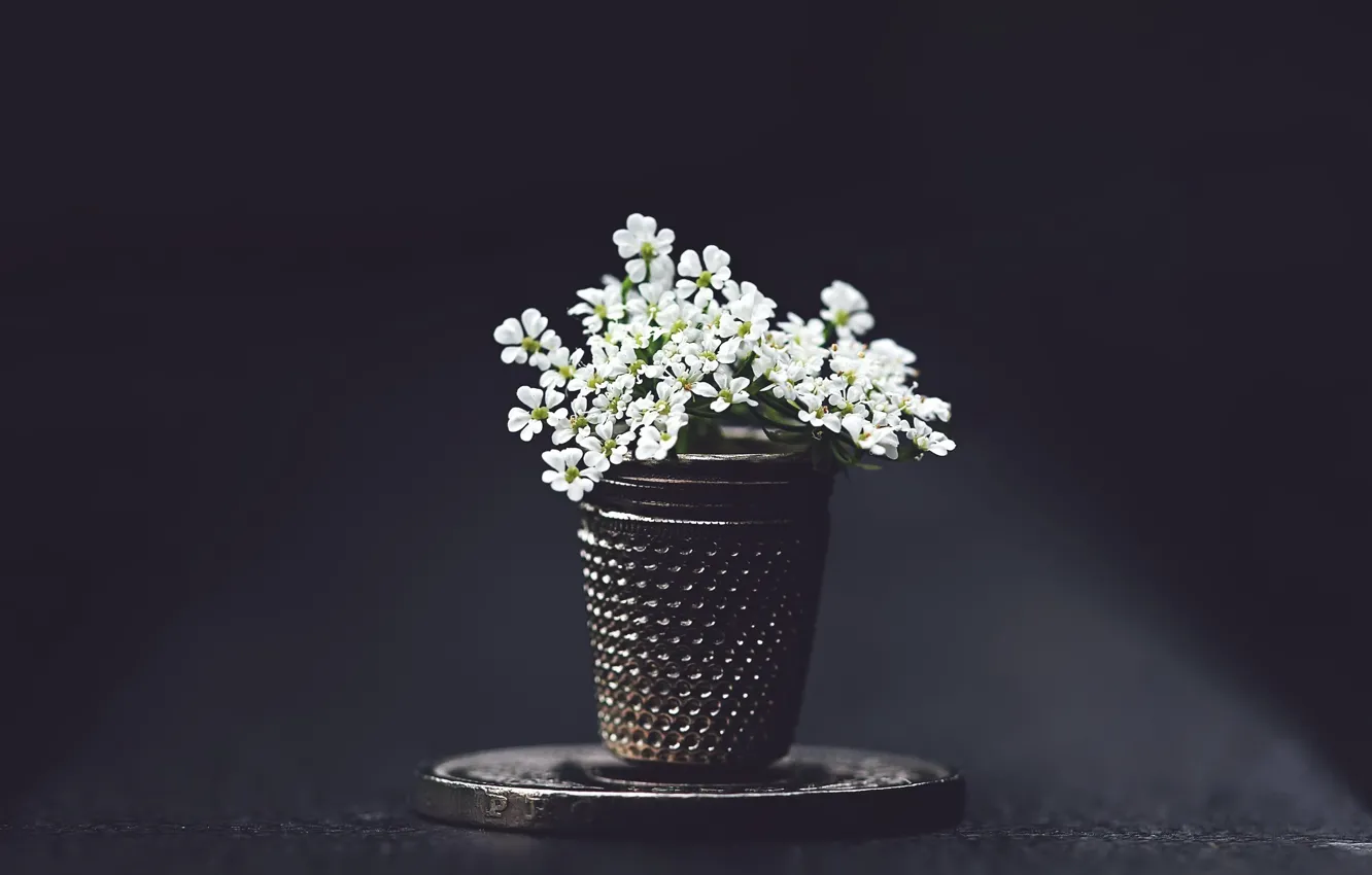 Photo wallpaper flowers, background, thimble