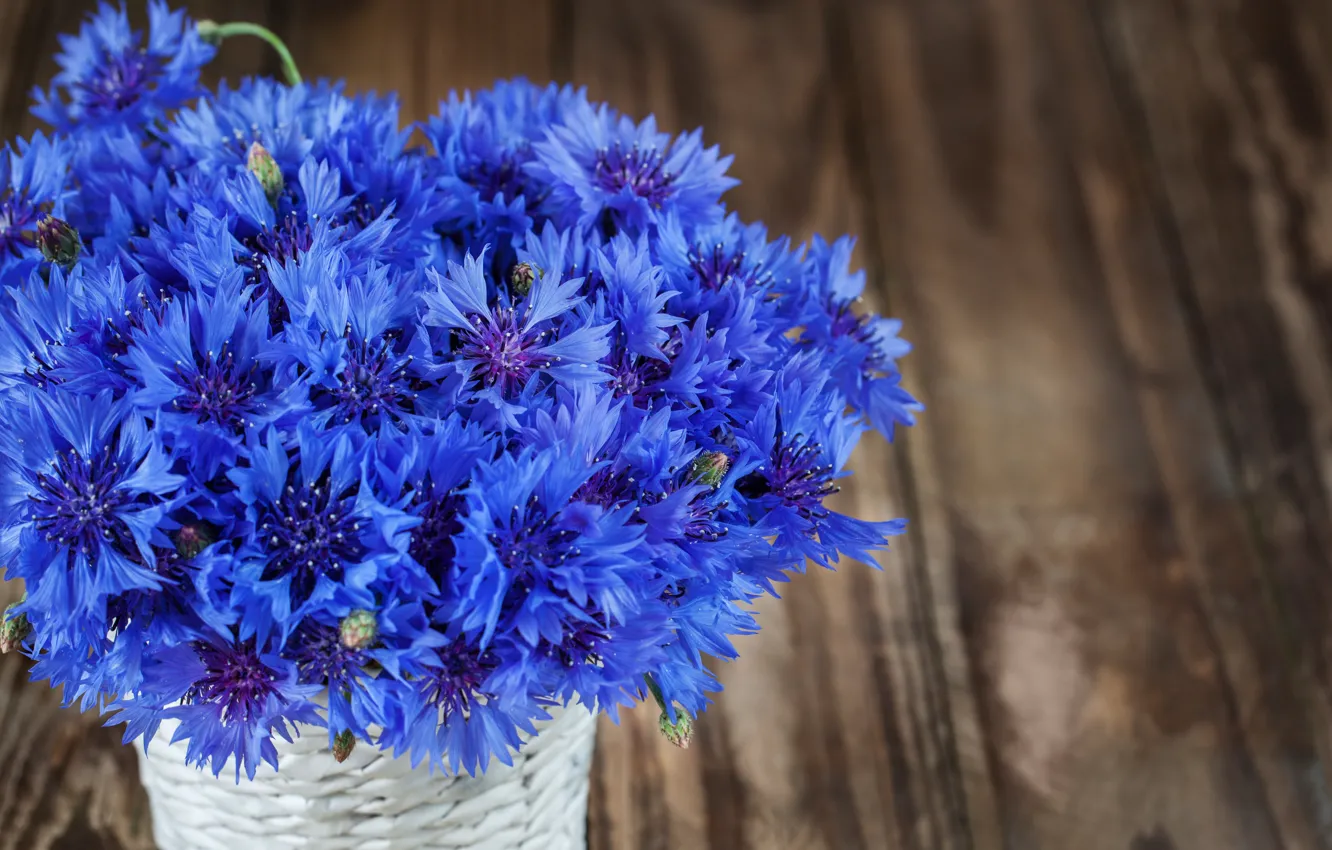 Photo wallpaper flowers, blue, bouquet, cornflowers