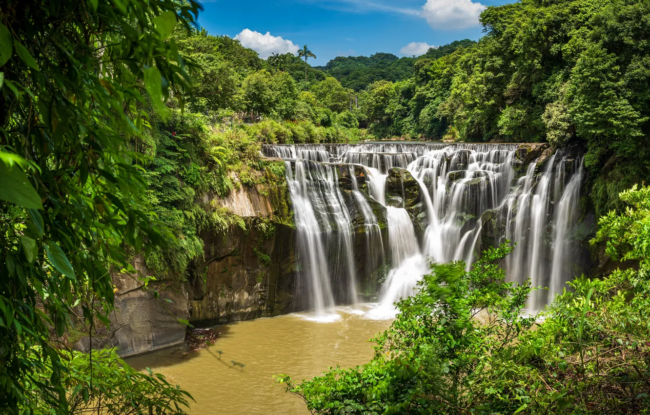 Photo wallpaper greens, summer, waterfall, stream