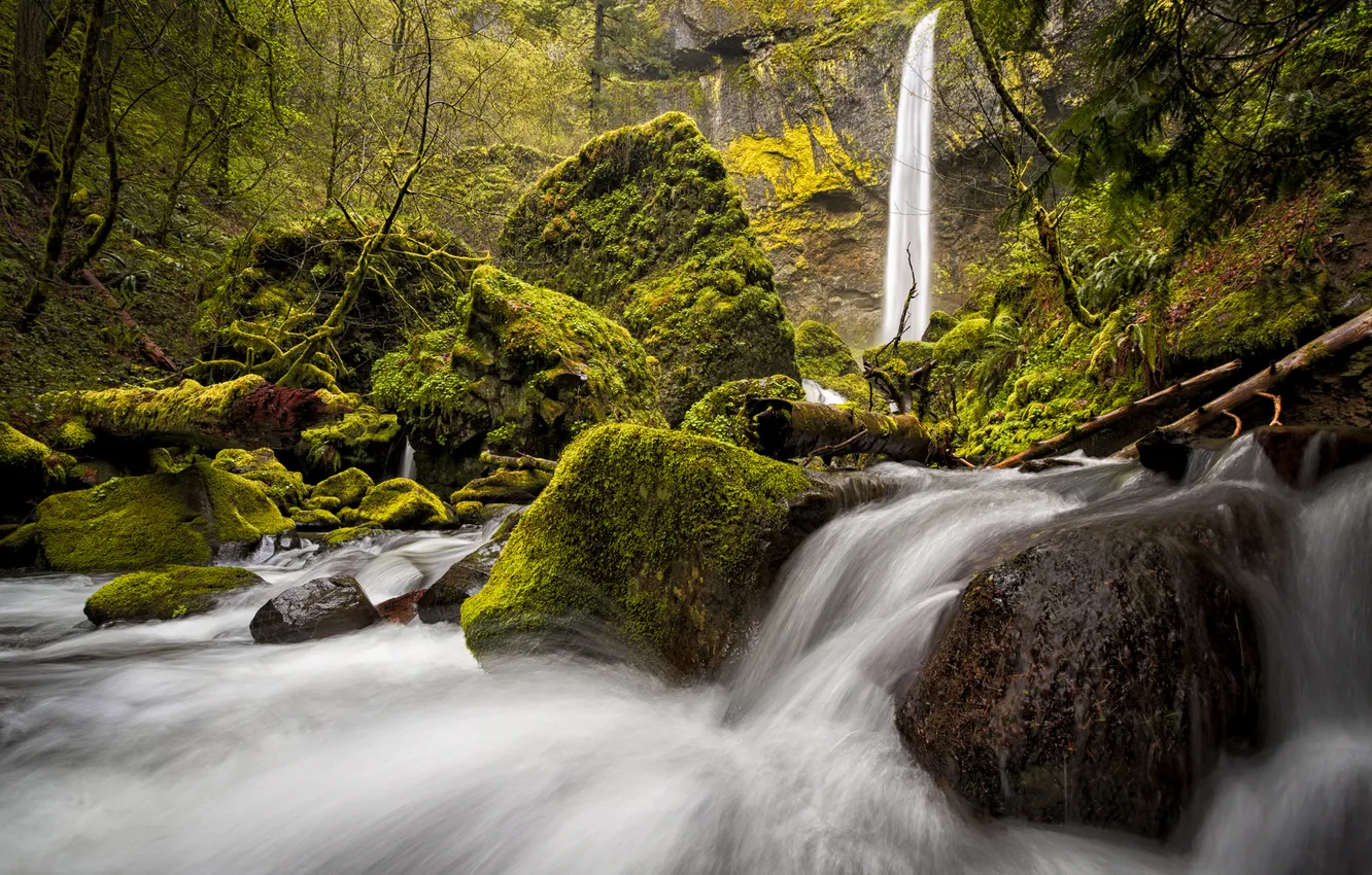 Photo wallpaper forest, stones, waterfall, moss, Oregon, Columbia River Gorge, Elowah Falls