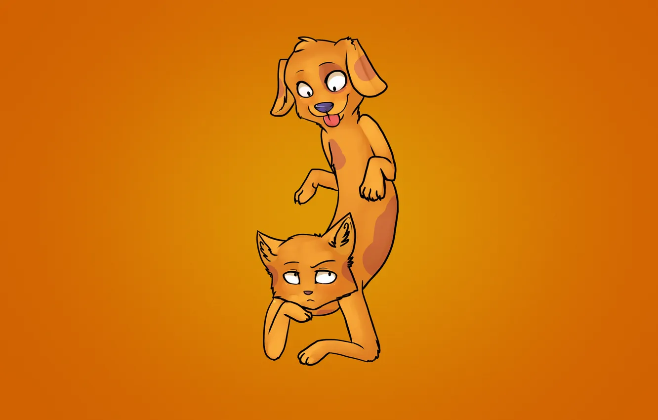 Photo wallpaper orange, background, cat and dog, CatDog, Kotopes