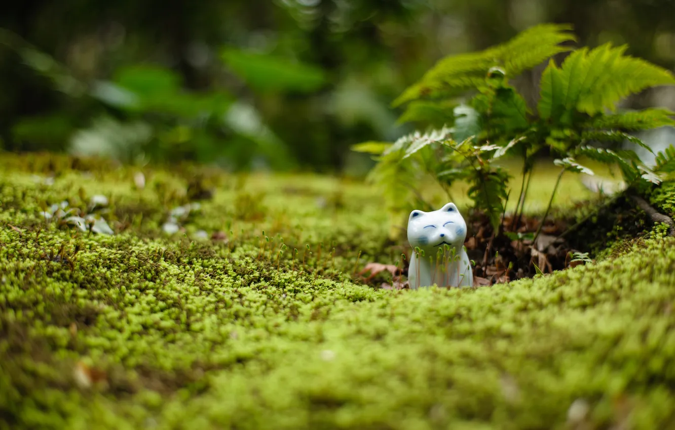Photo wallpaper greens, cat, Rostock, moss, figurine, fern