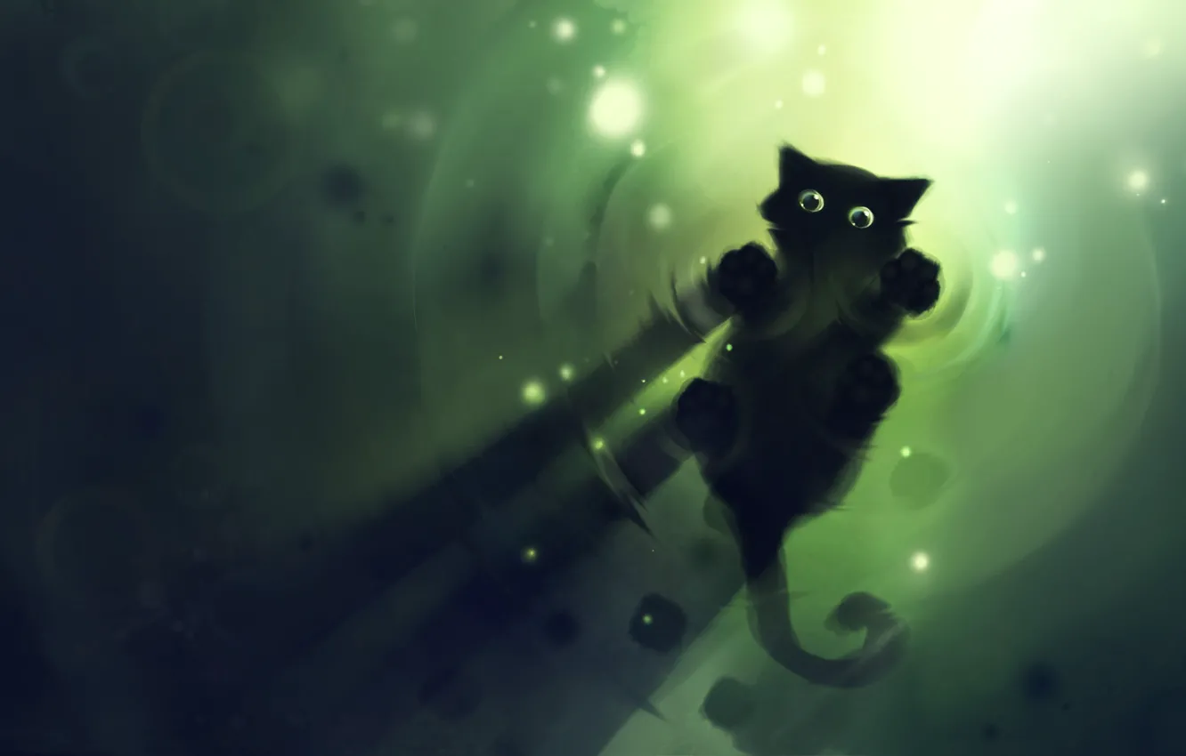 Photo wallpaper cat, water, black, apofiss