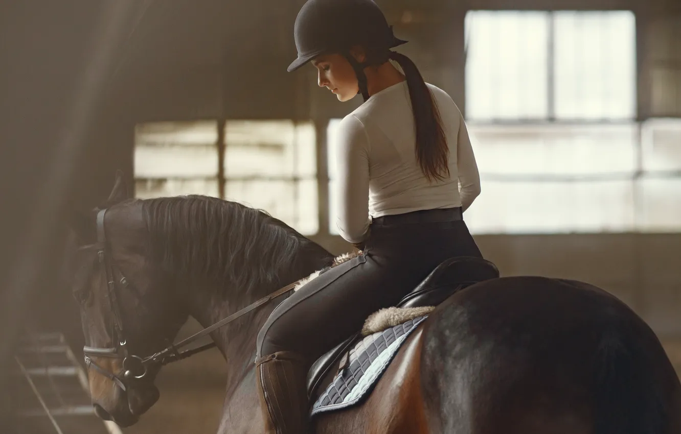 Photo wallpaper look, girl, light, pose, each, horse, horse, back
