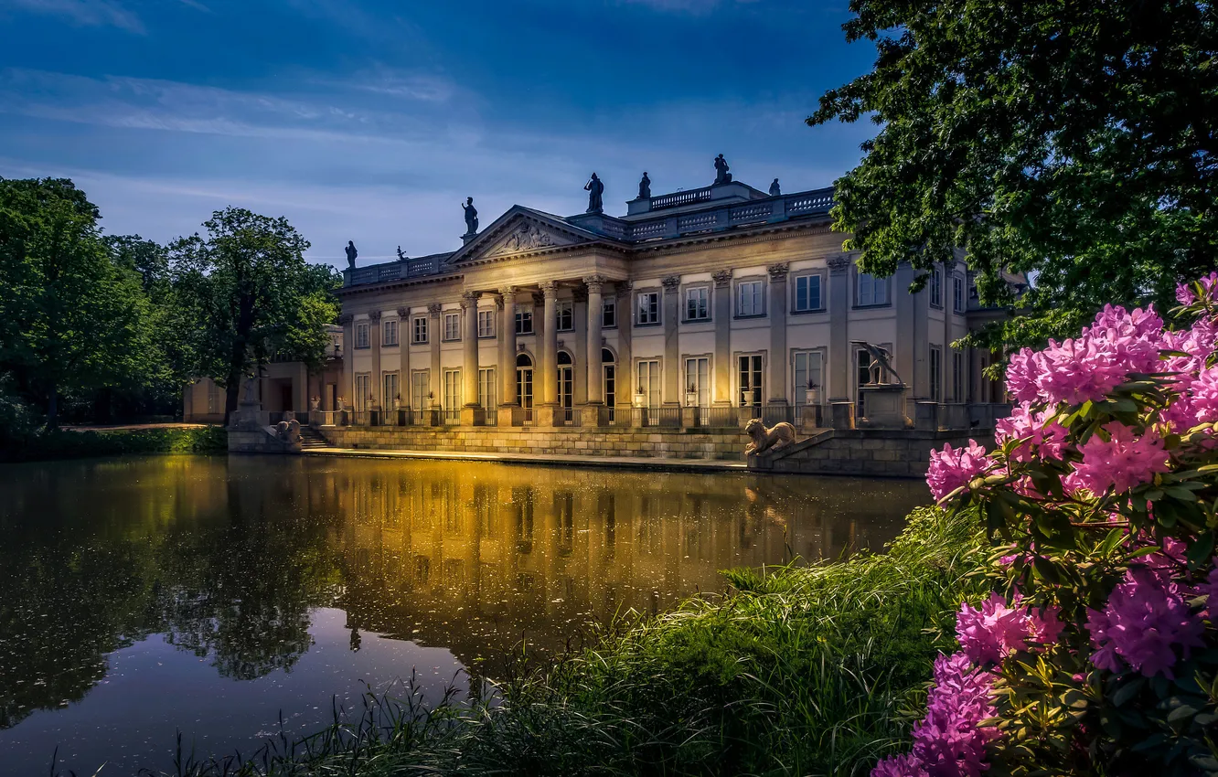 Photo wallpaper grass, trees, flowers, the city, lake, reflection, shore, Poland