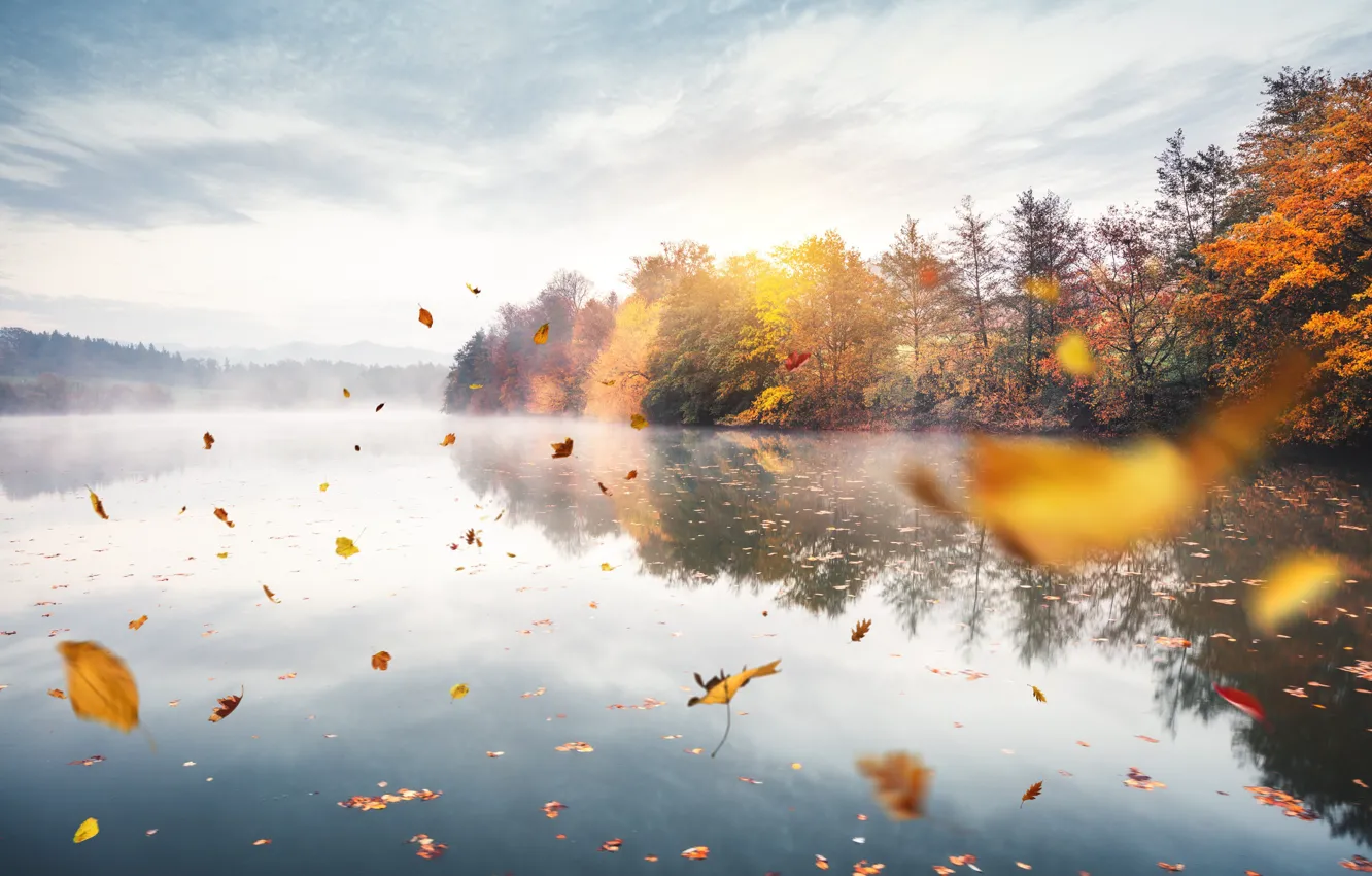 Photo wallpaper autumn, forest, clouds, fog, lake, pond, reflection, mood