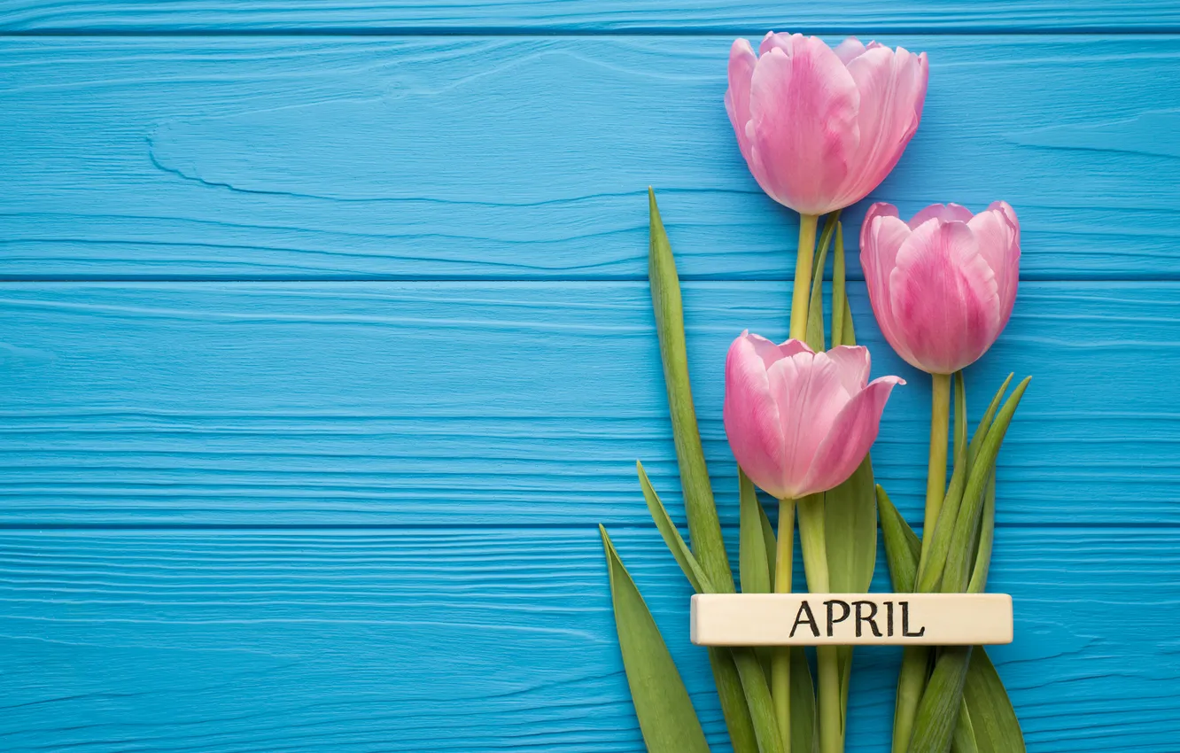 Photo wallpaper flowers, bouquet, tulips, wood, pink, flowers, tulips, spring