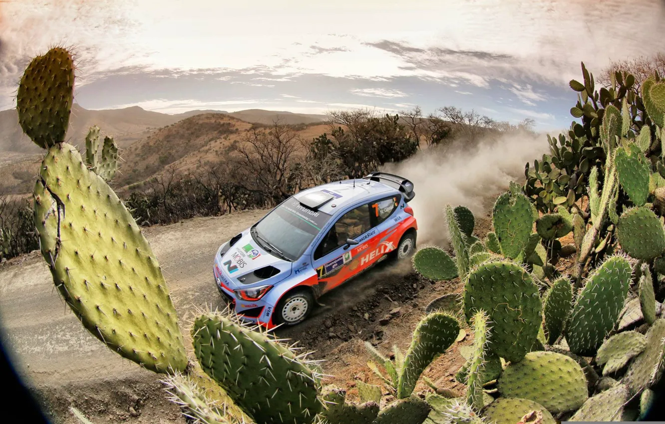 Photo wallpaper dust, cactus, Hyundai, Mexico, WRC, Rally, i20, Neuville