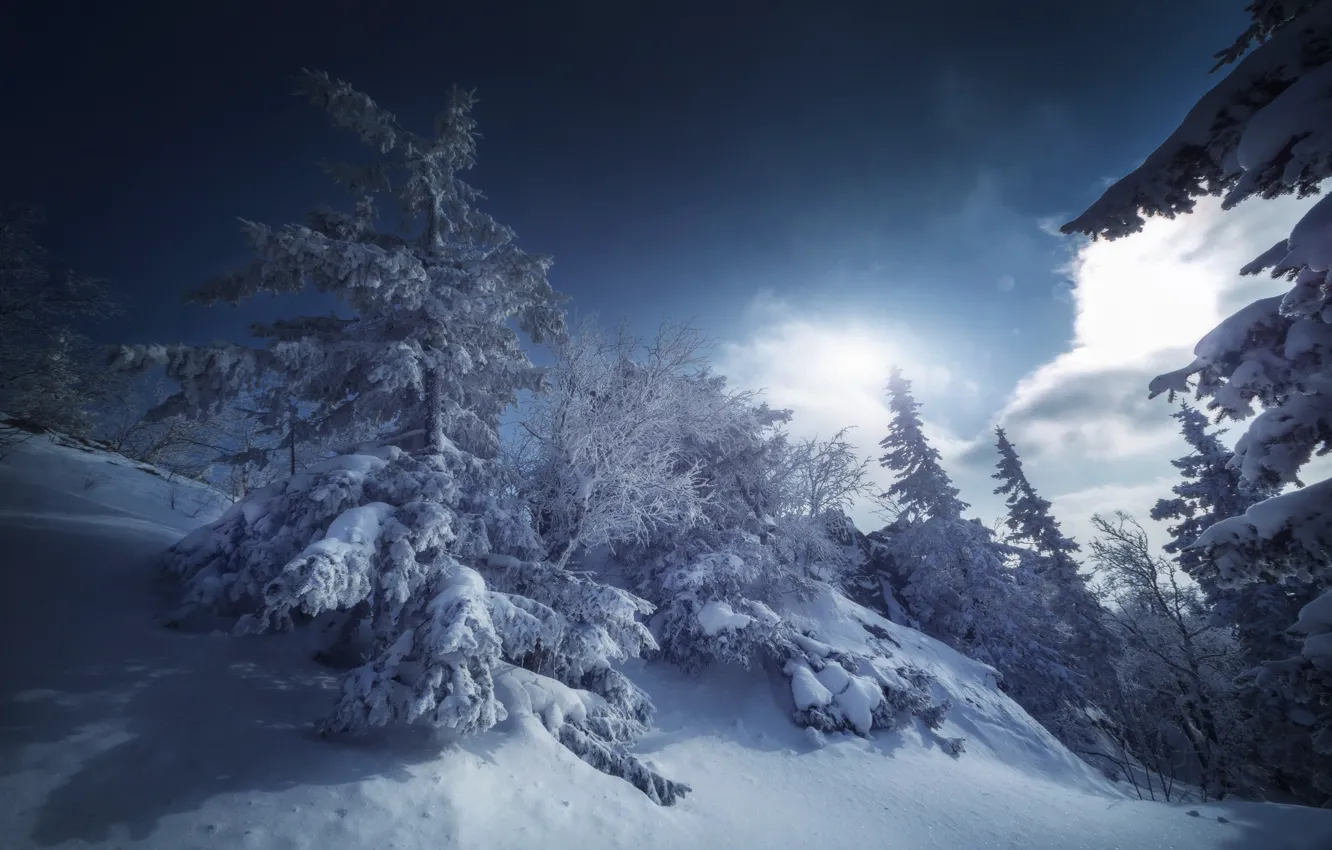 Photo wallpaper winter, snow, landscape, nature, ate, Taganay, Nikolay Shevchenko