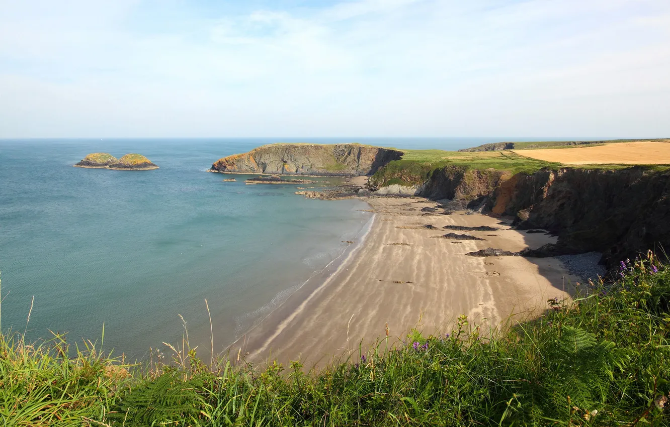Photo wallpaper sea, greens, grass, flowers, rocks, shore, view, field