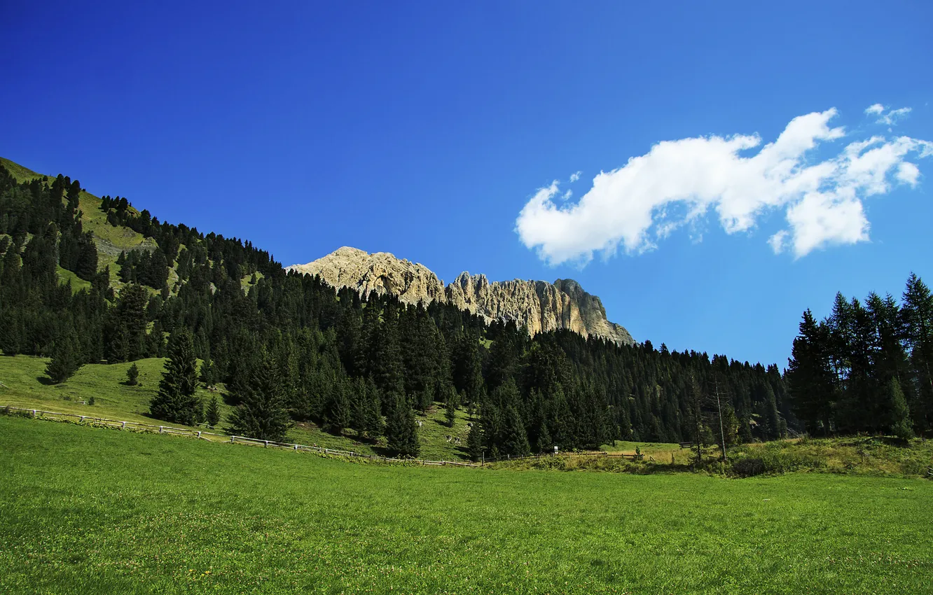 Photo wallpaper valley, Alps, Italy, one of the most attractive landscapes, Campitello, the foot of the Sassolungo …