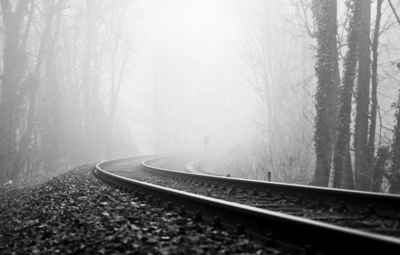 Photo wallpaper forest, fog, railroad