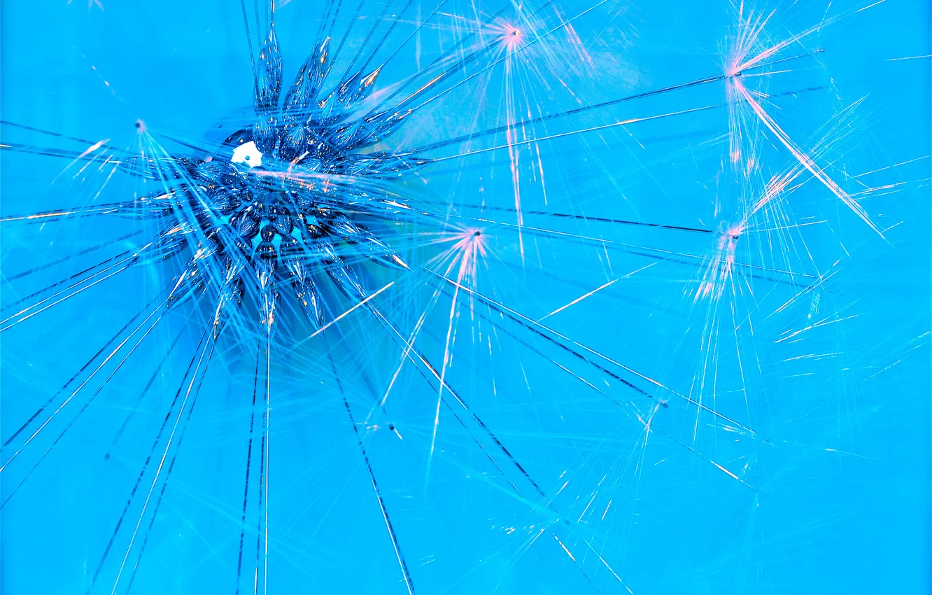 Photo wallpaper flowers, metal, techno, blade of grass