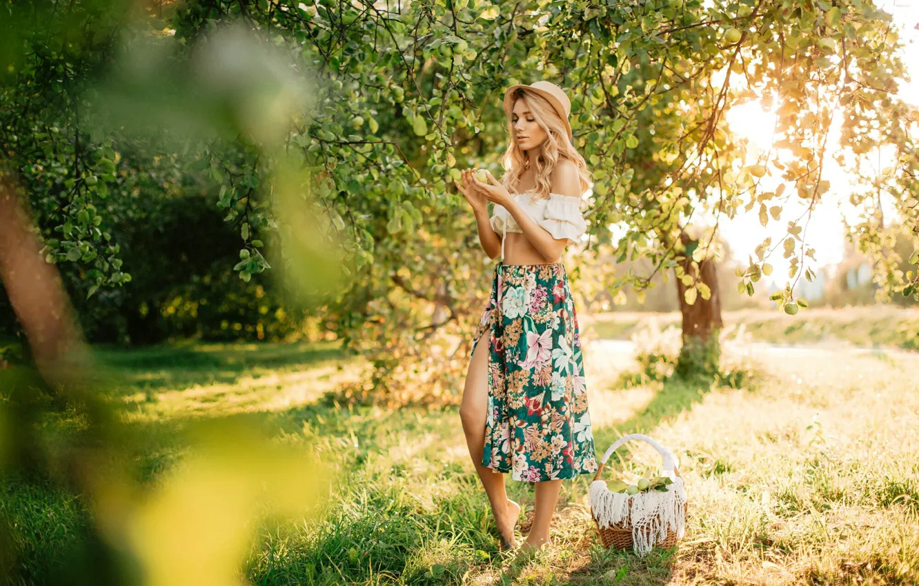 Photo wallpaper grass, tree, basket, apples, skirt, Girl, hat, Apple