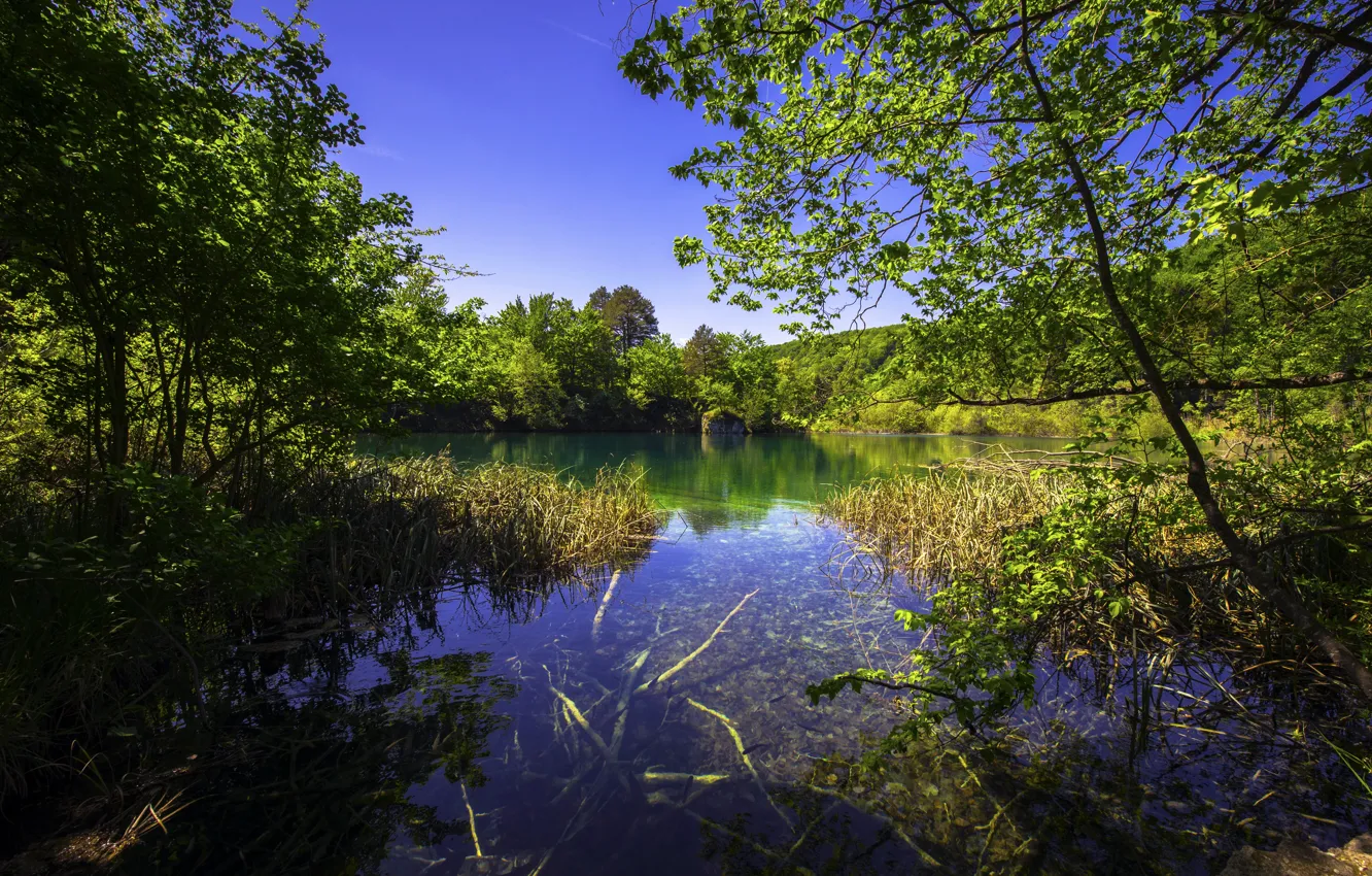 Photo wallpaper greens, grass, trees, lake, the bushes, Croatia, Plitvice Lakes National Park