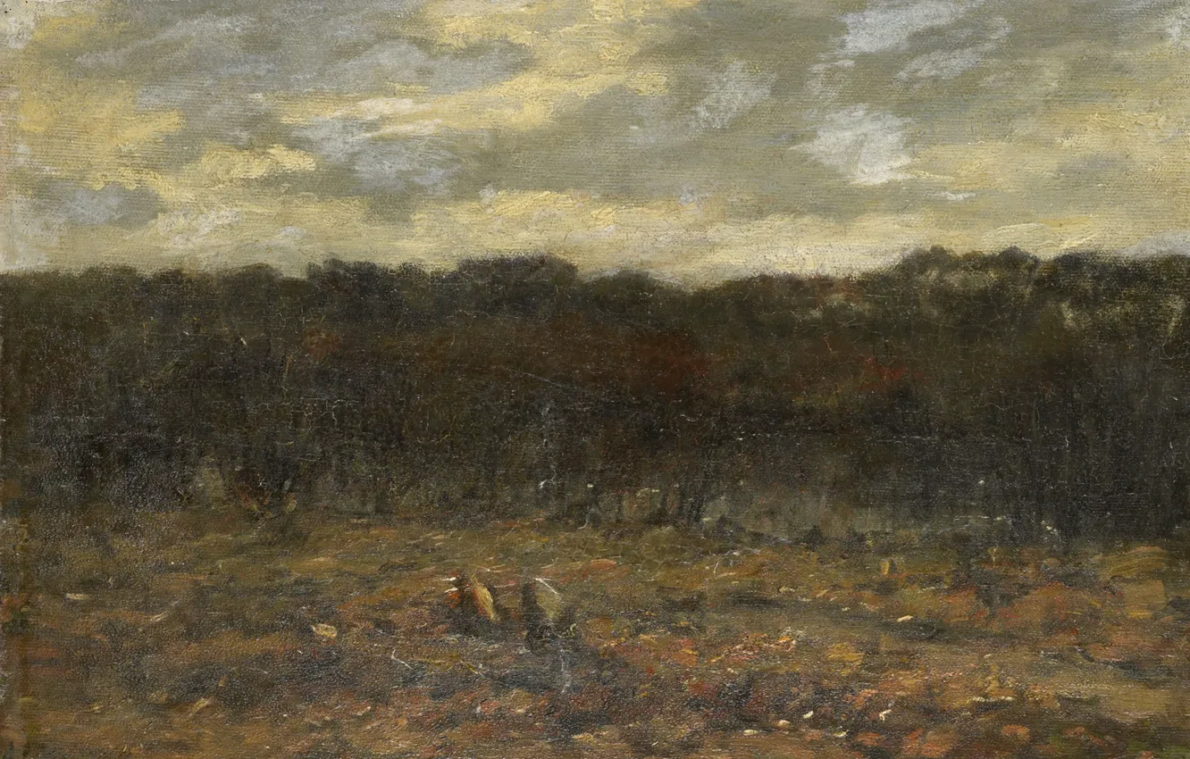 Photo wallpaper landscape, oil, picture, Heath, 1923, Jan Adam Zandleven, Jan Adam Zandleven