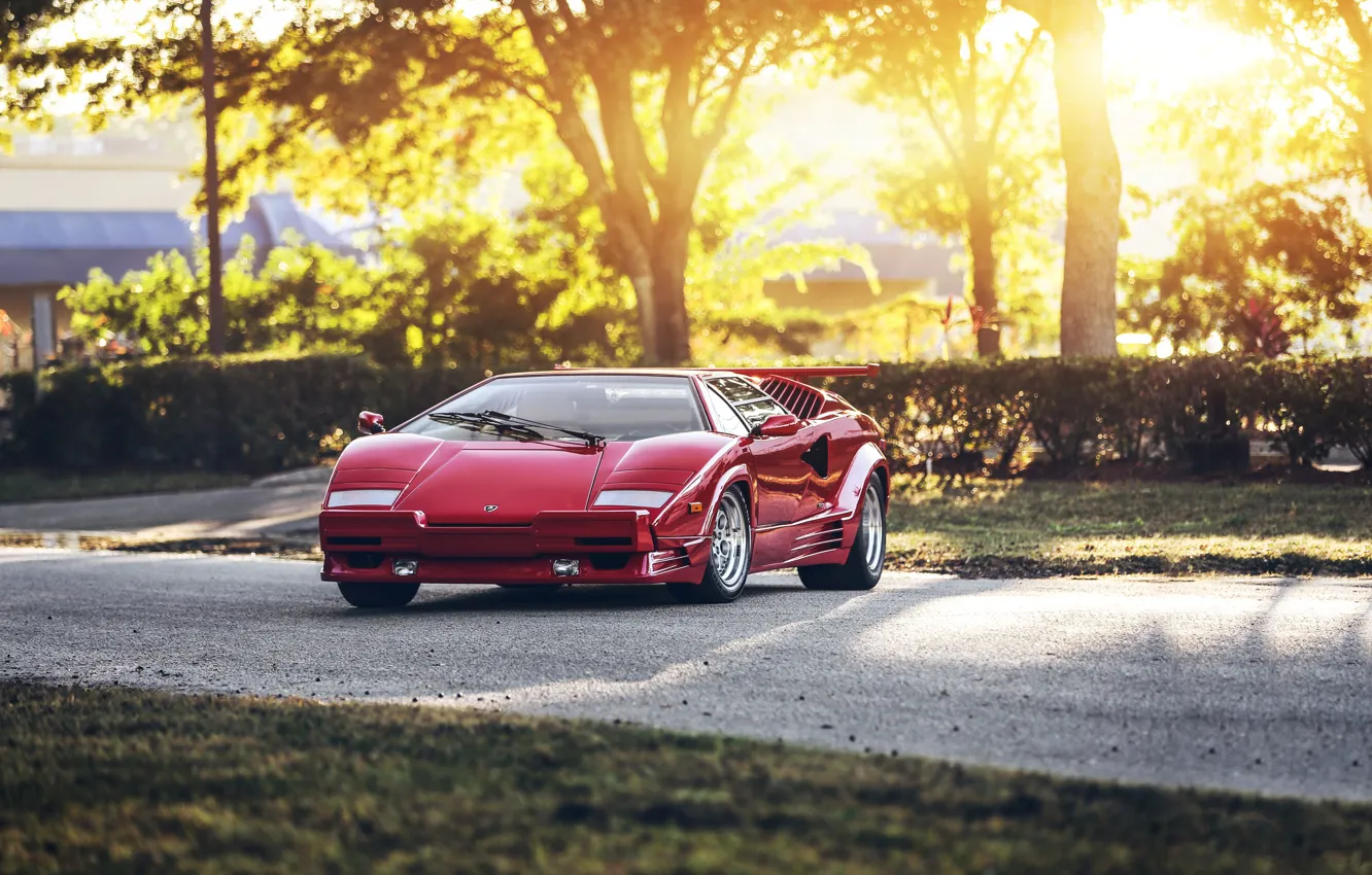 Photo wallpaper Red, Countach, Trees