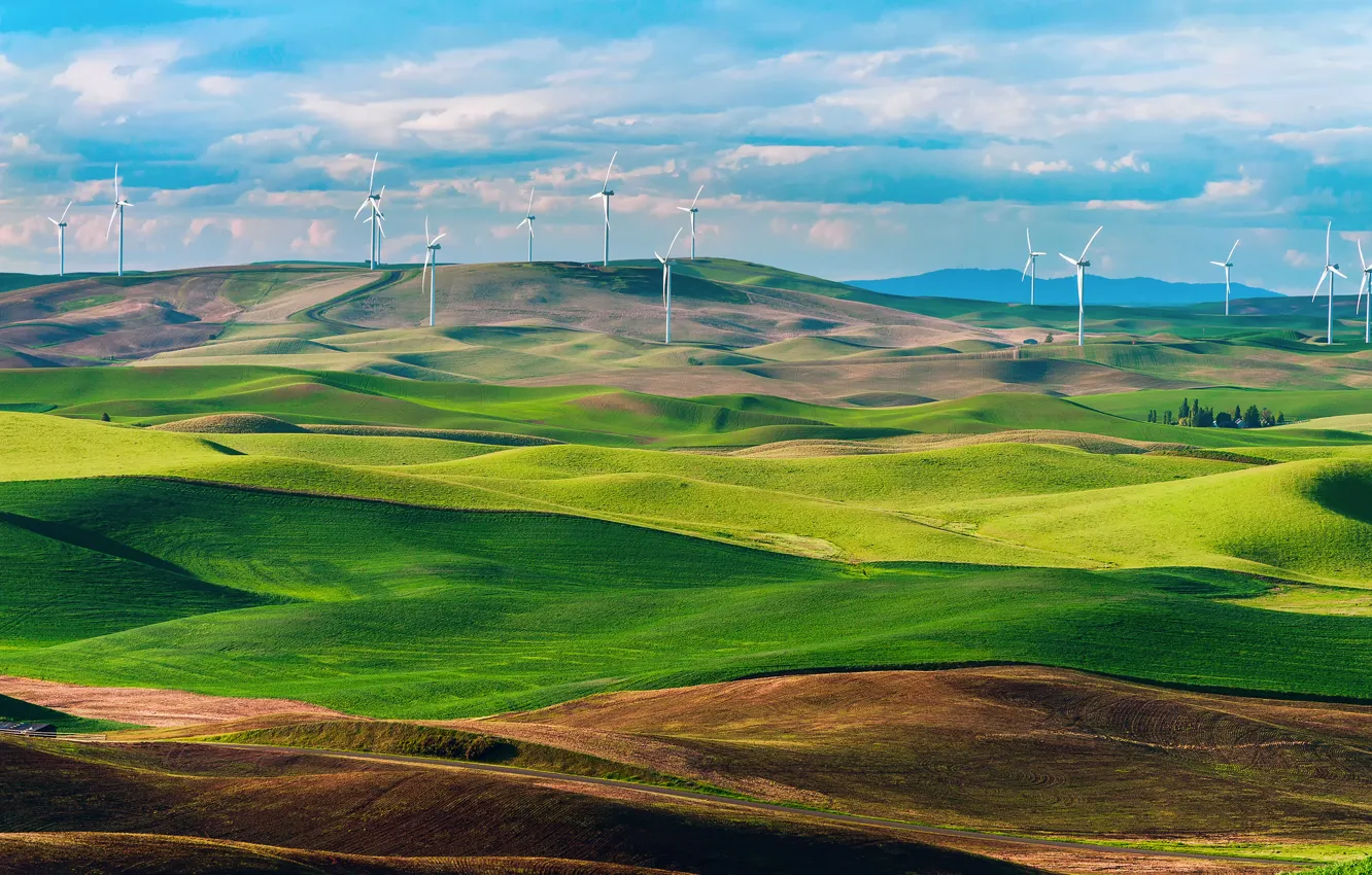 Photo wallpaper field, Washington, USA, state, wind turbines, Wind turbines, wind farms