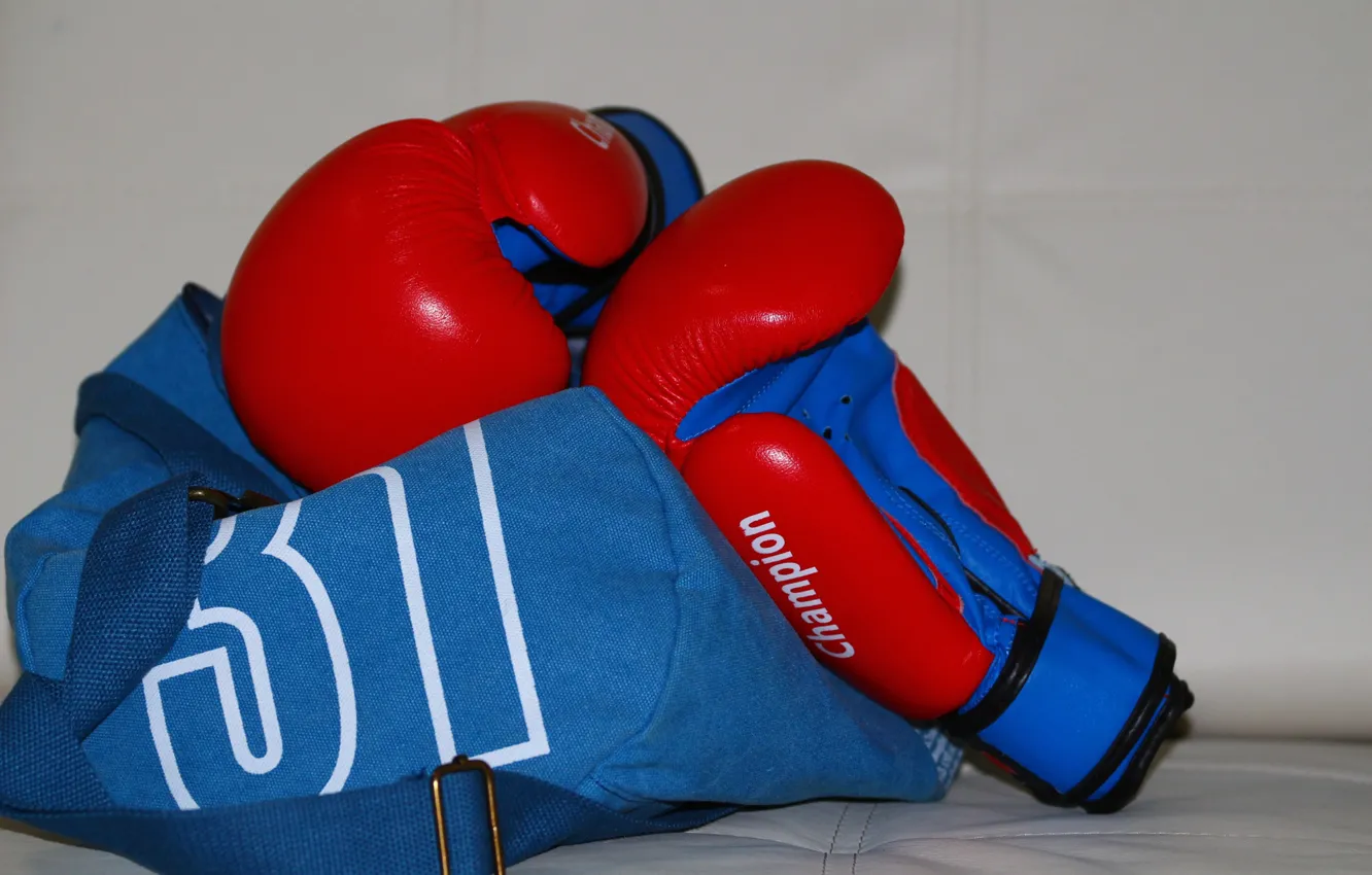 Photo wallpaper gloves, bag, Boxing gloves