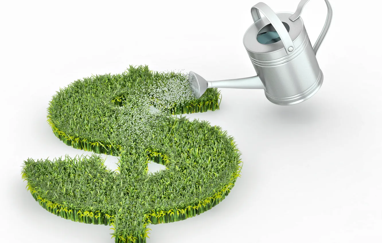 Photo wallpaper grass, money, shoots, lake, dollars, watering, income, profit