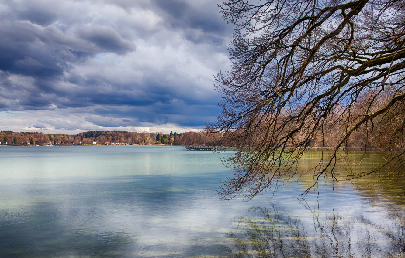 Photo wallpaper clouds, trees, clouds, lake, branch, spring