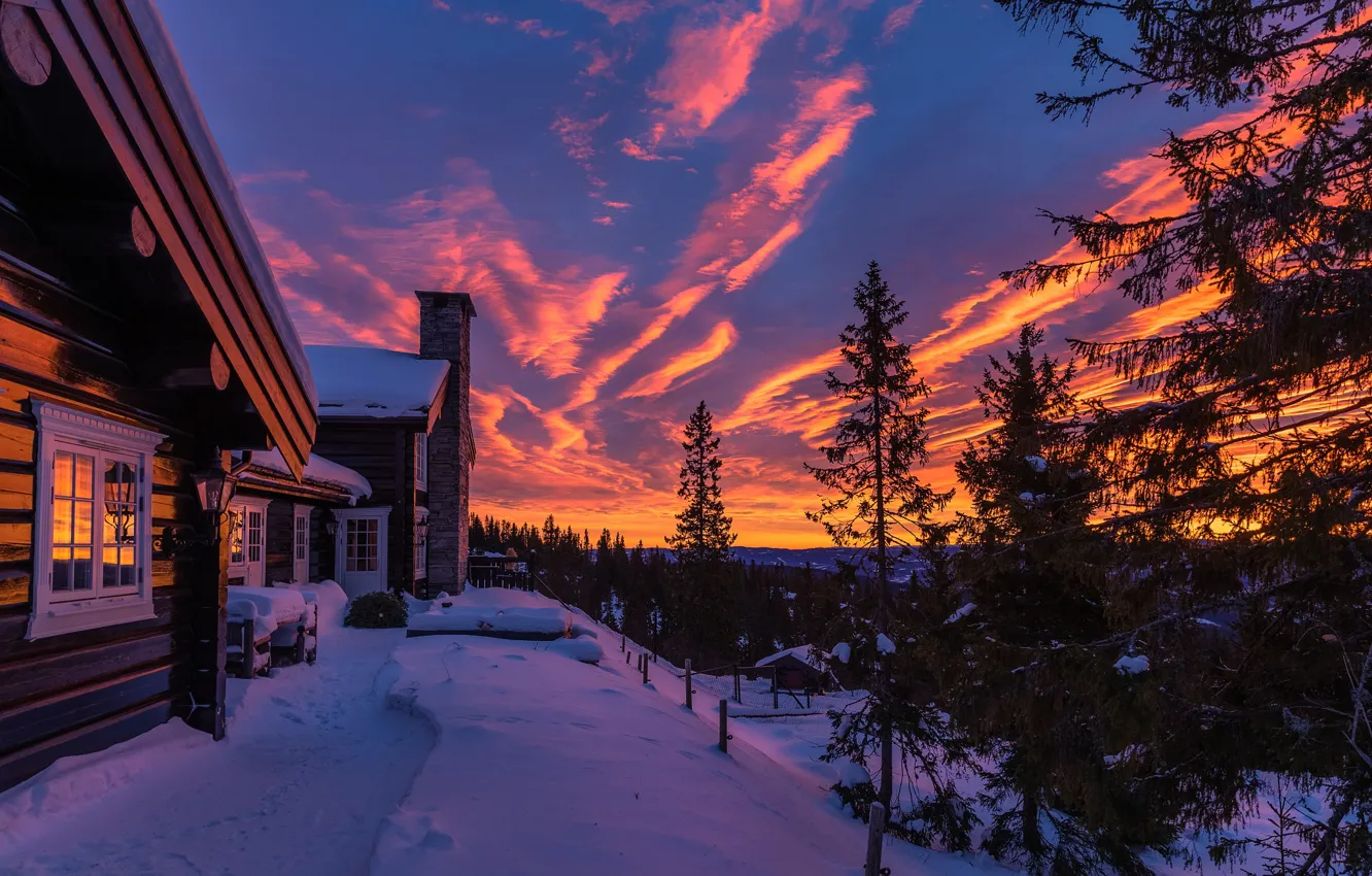 Photo wallpaper winter, snow, trees, landscape, sunset, nature, home, the evening