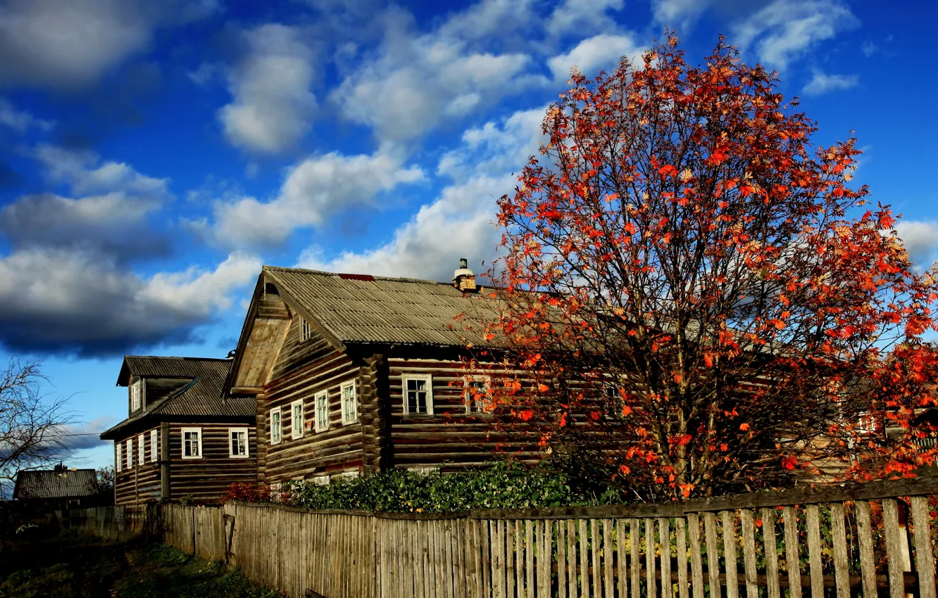 Photo wallpaper autumn, bright colors, hut, Russian North, Arkhangelsk village