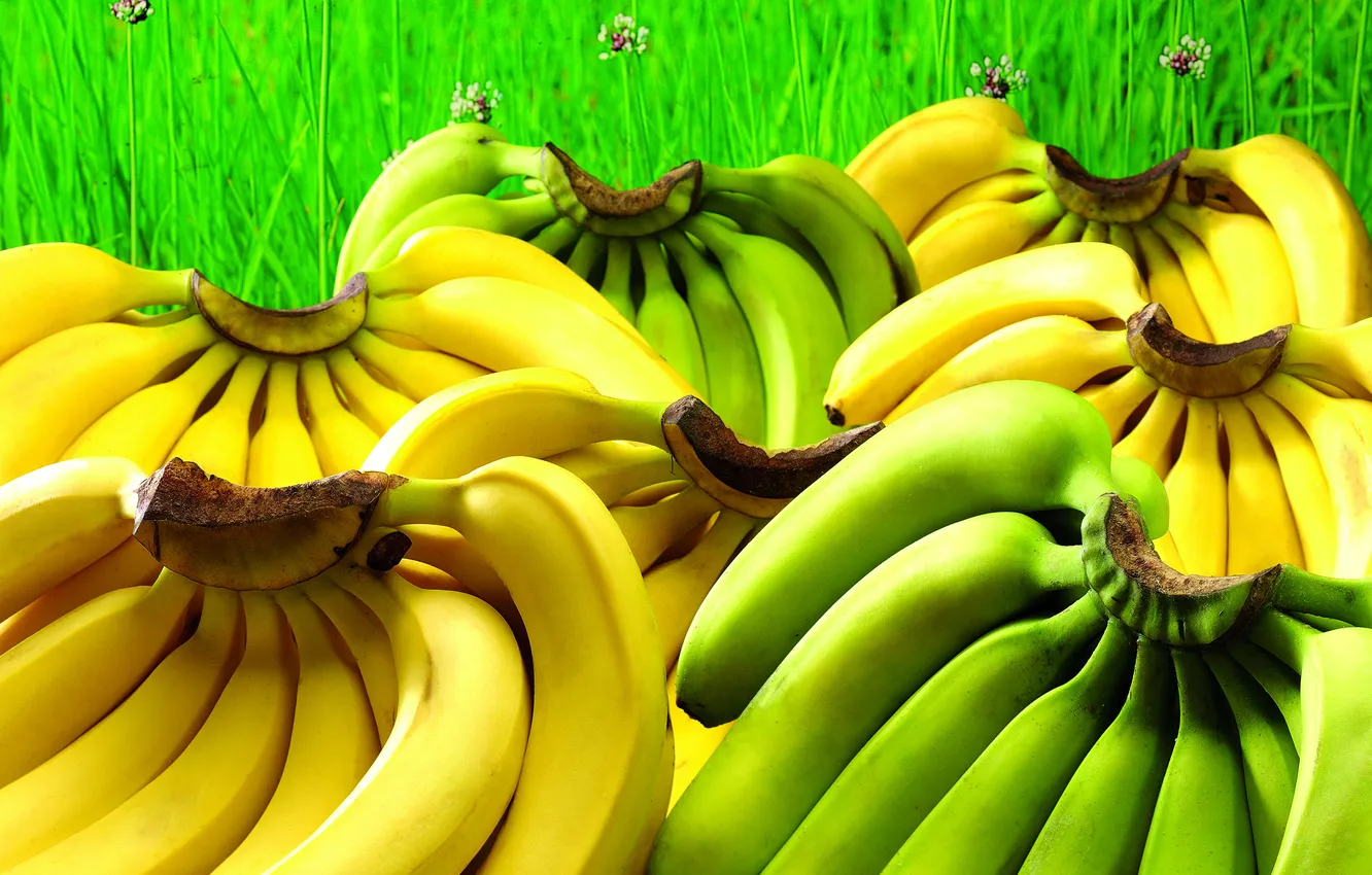 Photo wallpaper greens, grass, yellow, green, bananas, fruit, a lot, closeup
