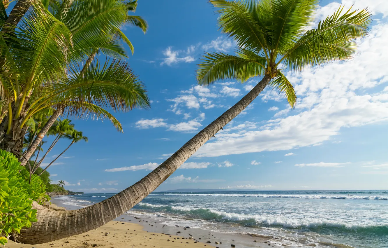 Photo wallpaper sand, sea, the sky, clouds, stones, shore, horizon, Hawaii