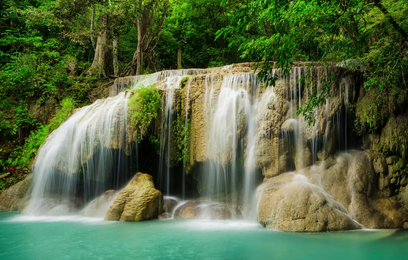 Photo wallpaper forest, river, stones, waterfall, forest, river, landscape, jungle