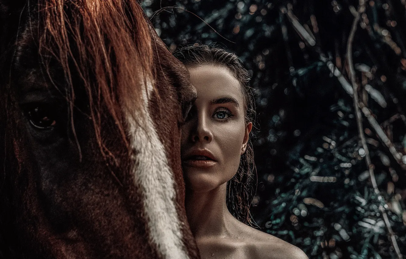 Photo wallpaper girl, horse, horse, portrait
