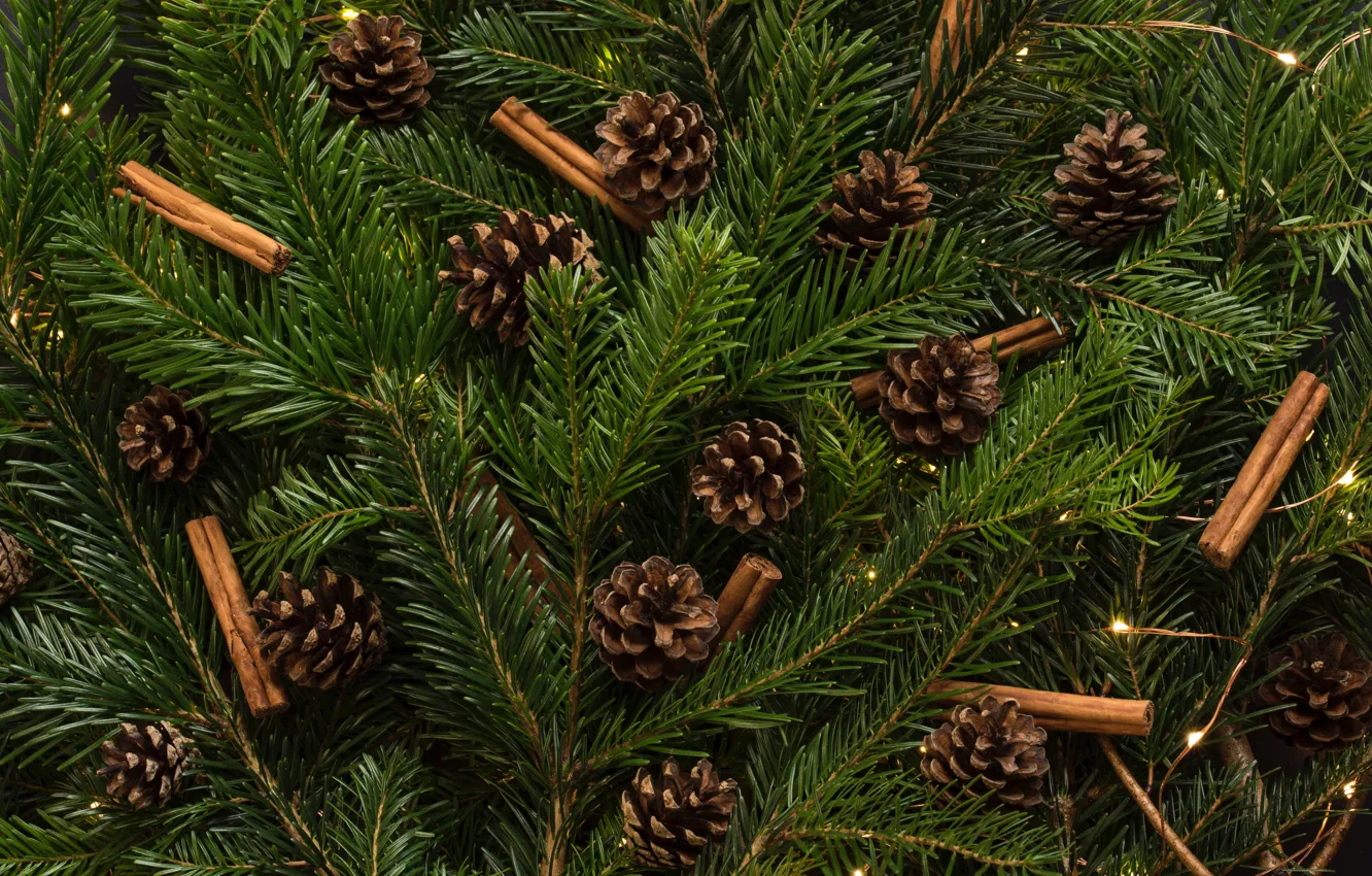 Photo wallpaper green, christmas tree, cinnamon sticks