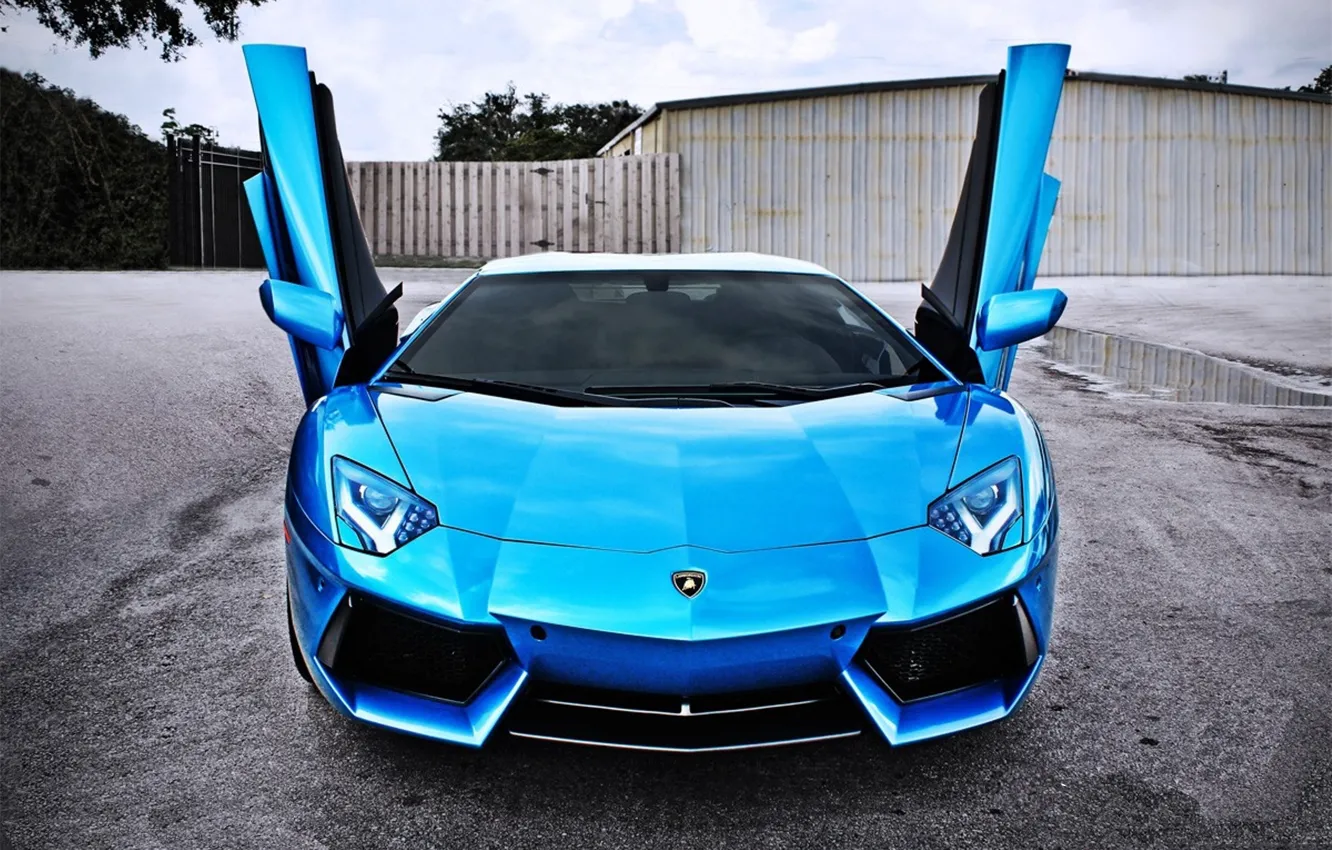 Photo wallpaper car, up, Lamborghini, door, blue, LP700-4, Aventador, door