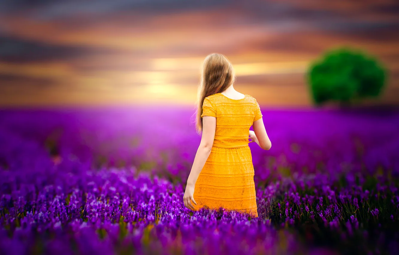 Photo wallpaper girl, trees, treatment, lavender, lavender, all lilac