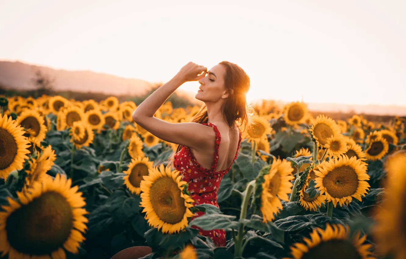 Photo wallpaper girl, sunshine, flowers, women, sunflowers, Sasha Stories
