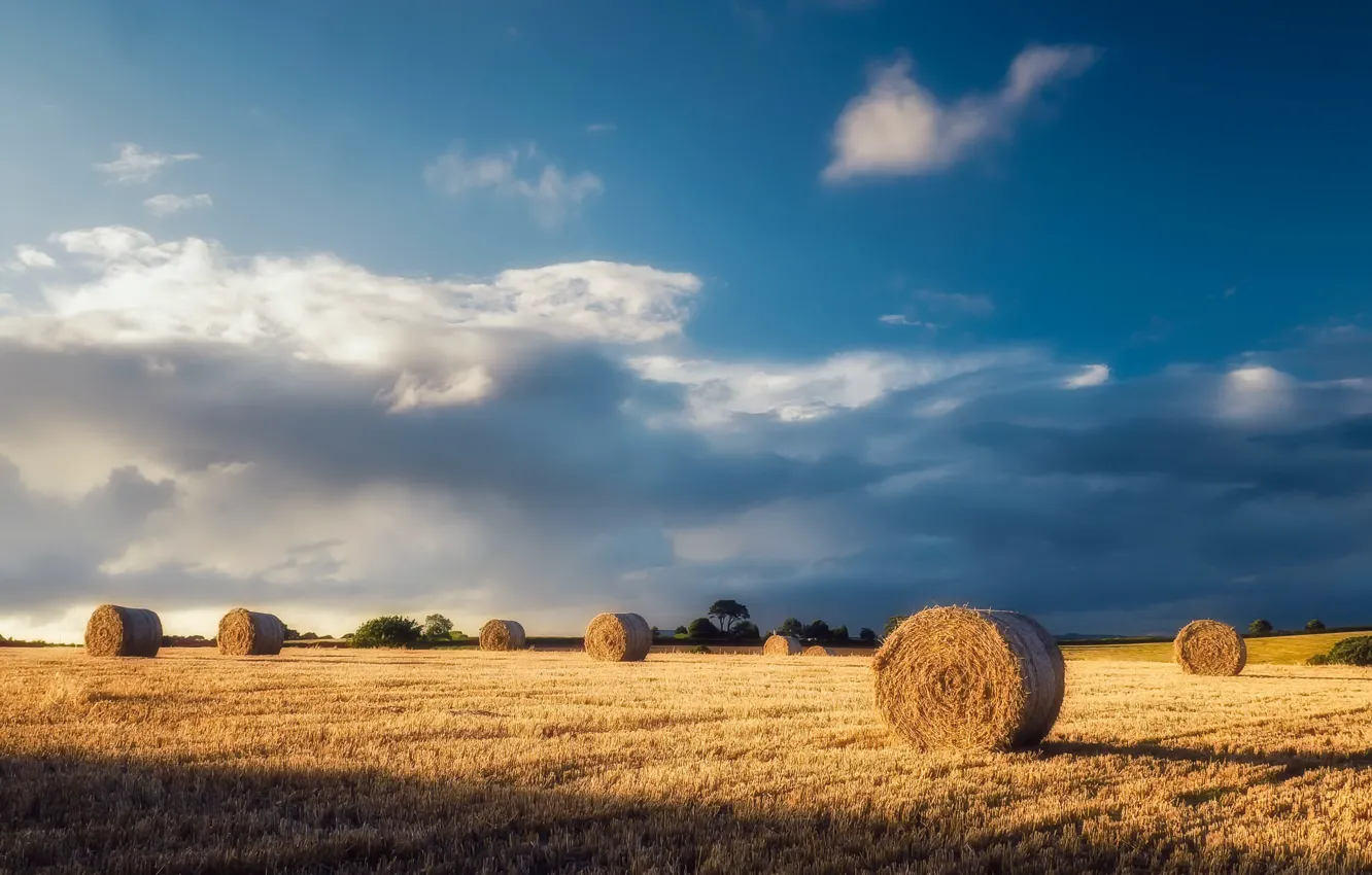 Photo wallpaper field, summer, light, morning, hay