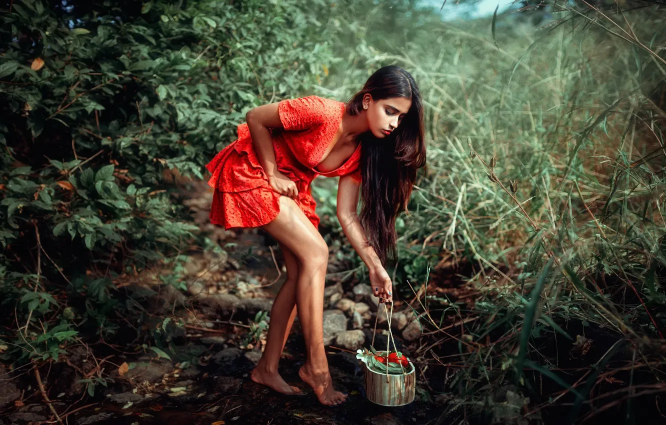 Photo wallpaper girl, nature, Vidya