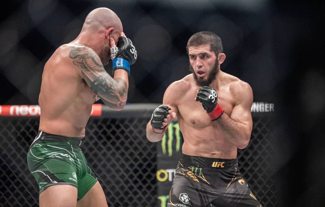 Photo wallpaper mixed martial arts, ufc, Alexander Volkanovsky, Islam Makhachev