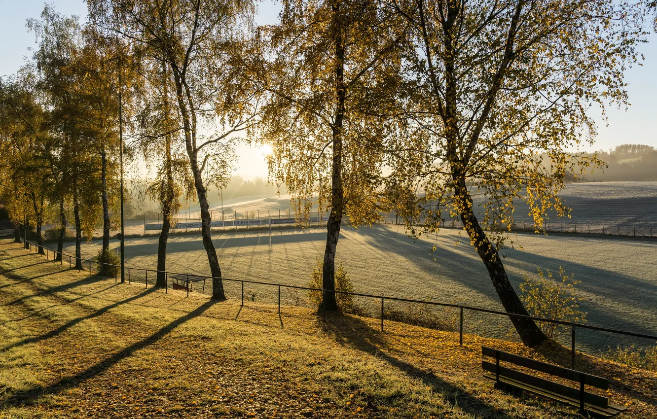 Photo wallpaper field, autumn, trees