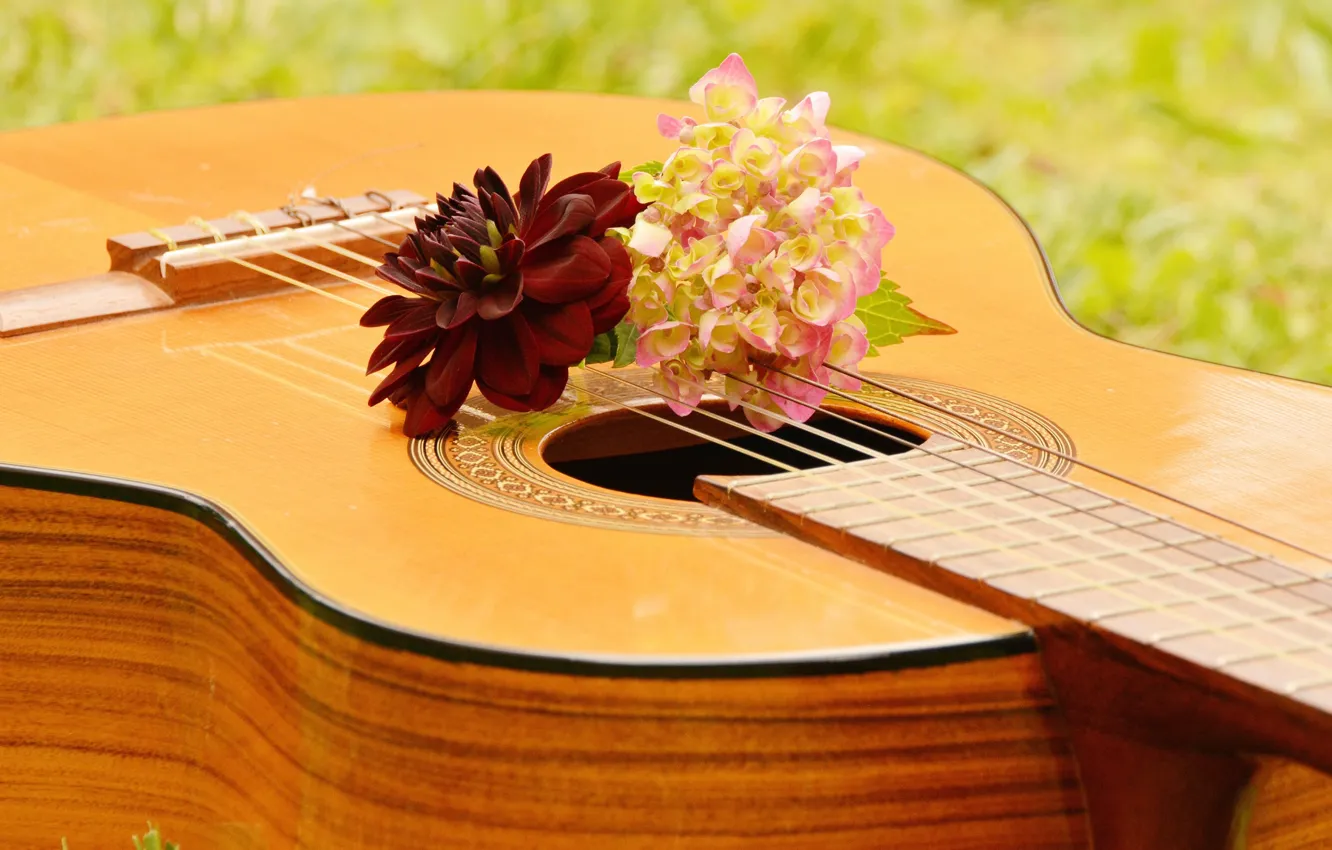 Photo wallpaper flowers, music, guitar, musical instrument