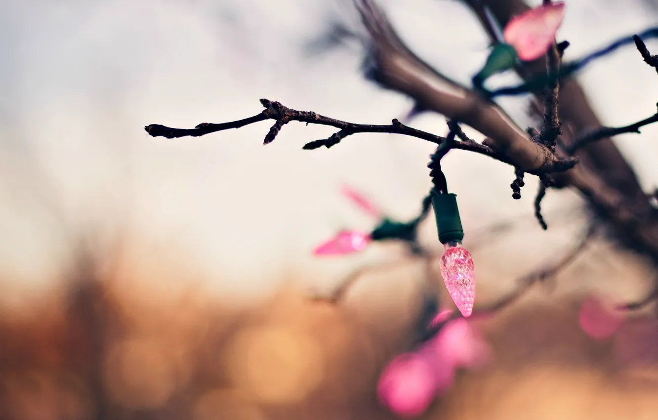 Photo wallpaper macro, trees, branches, background, holiday, Wallpaper, blur, lights