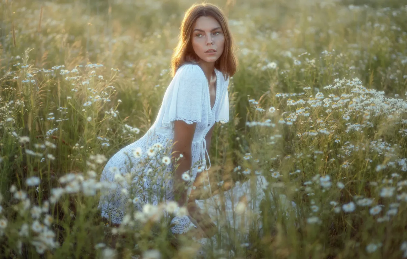 Photo wallpaper summer, girl, flowers, pose, chamomile, dress, meadow, Serge Zhodik
