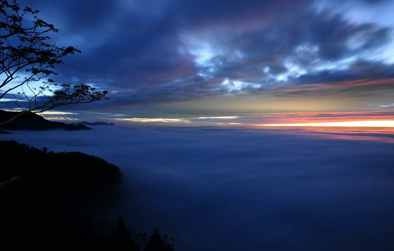 Photo wallpaper the sky, clouds, trees, sunset, branches, fog, The evening, haze