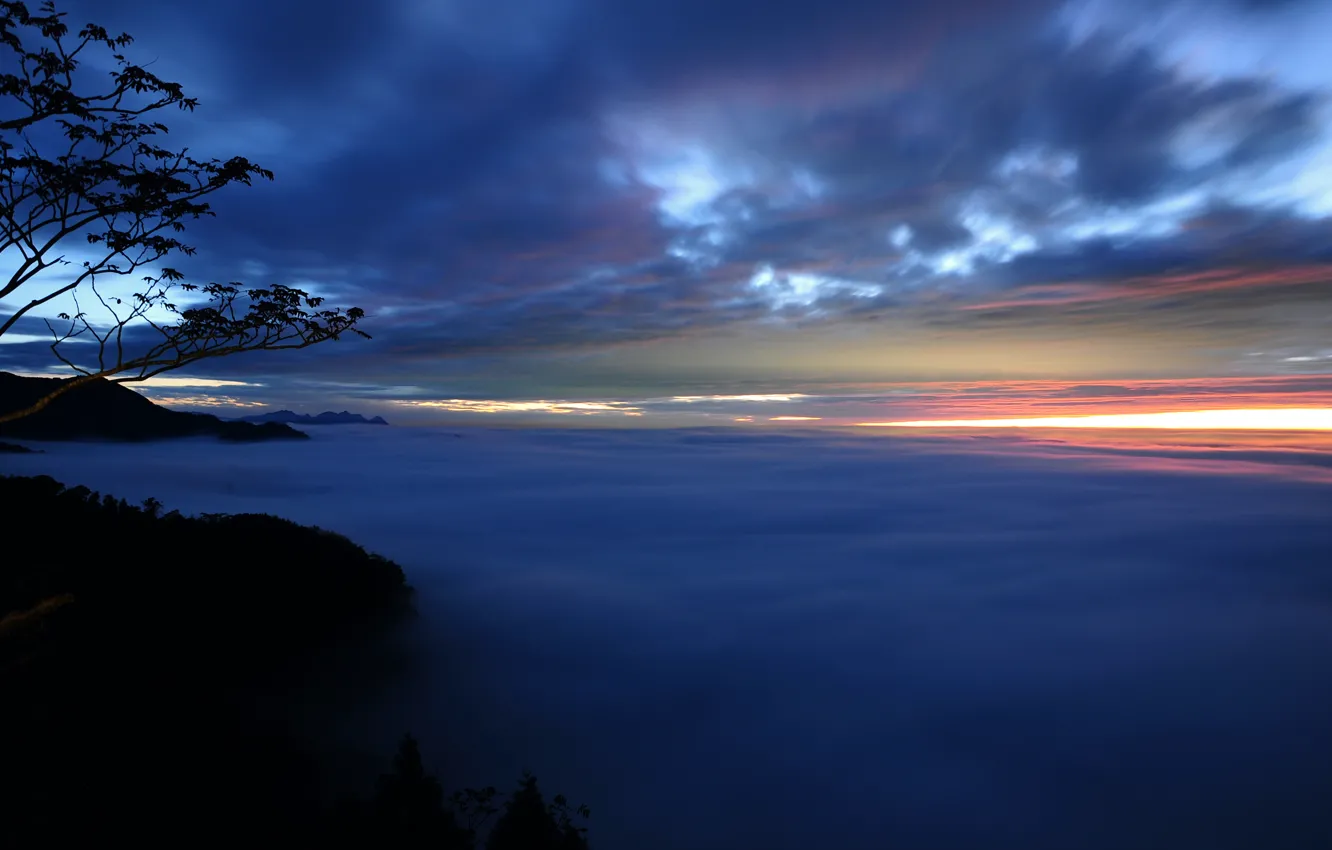 Photo wallpaper the sky, clouds, trees, sunset, branches, fog, the evening, haze