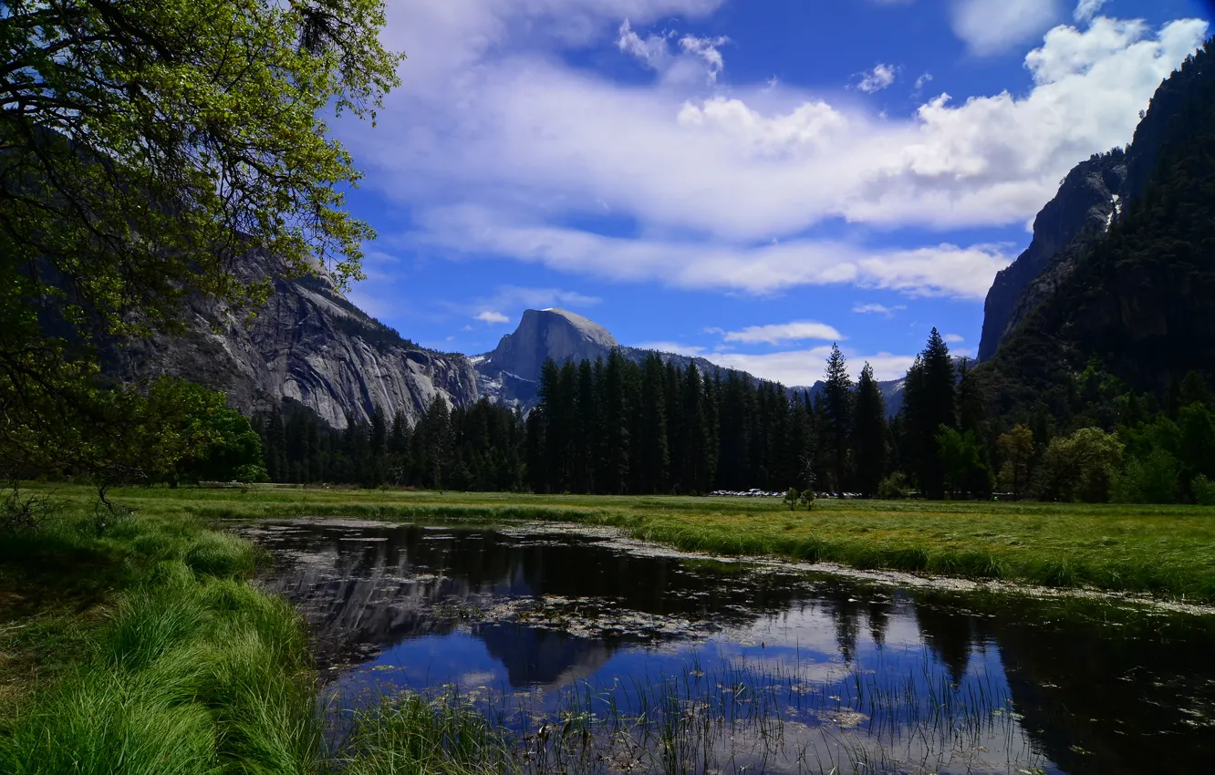 Photo wallpaper trees, mountains, river, CA, Yosemite, California, Yosemite National Park