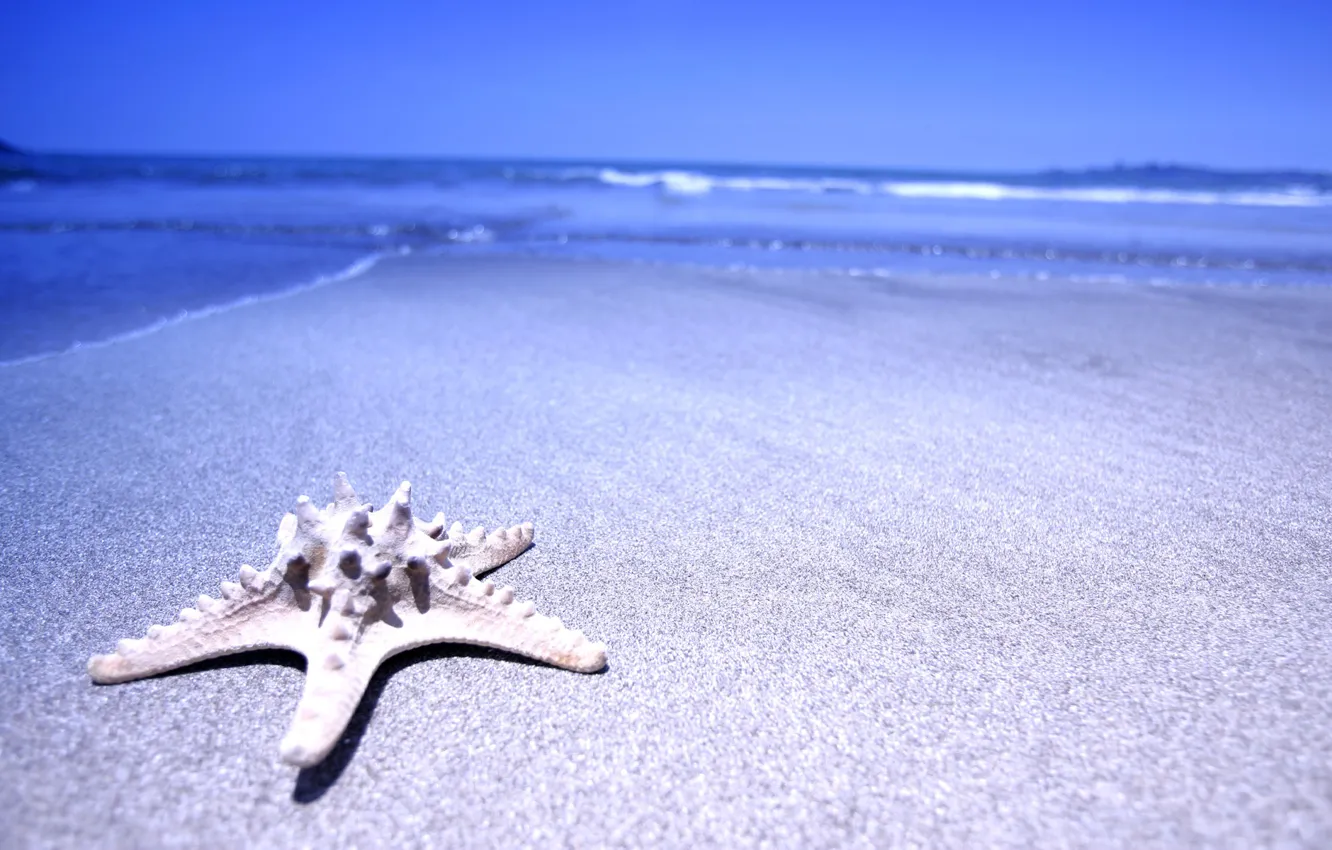 Photo wallpaper sand, sea, water, star