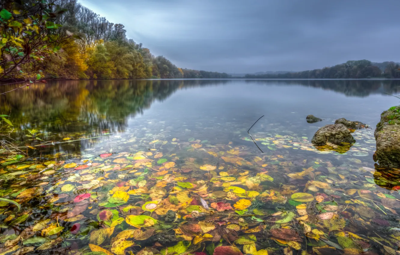 Photo wallpaper lake, Germany., Baden-Württemberg, The black forest, Destination Finger Lake